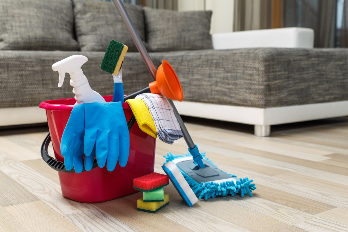 Professional cleaning services