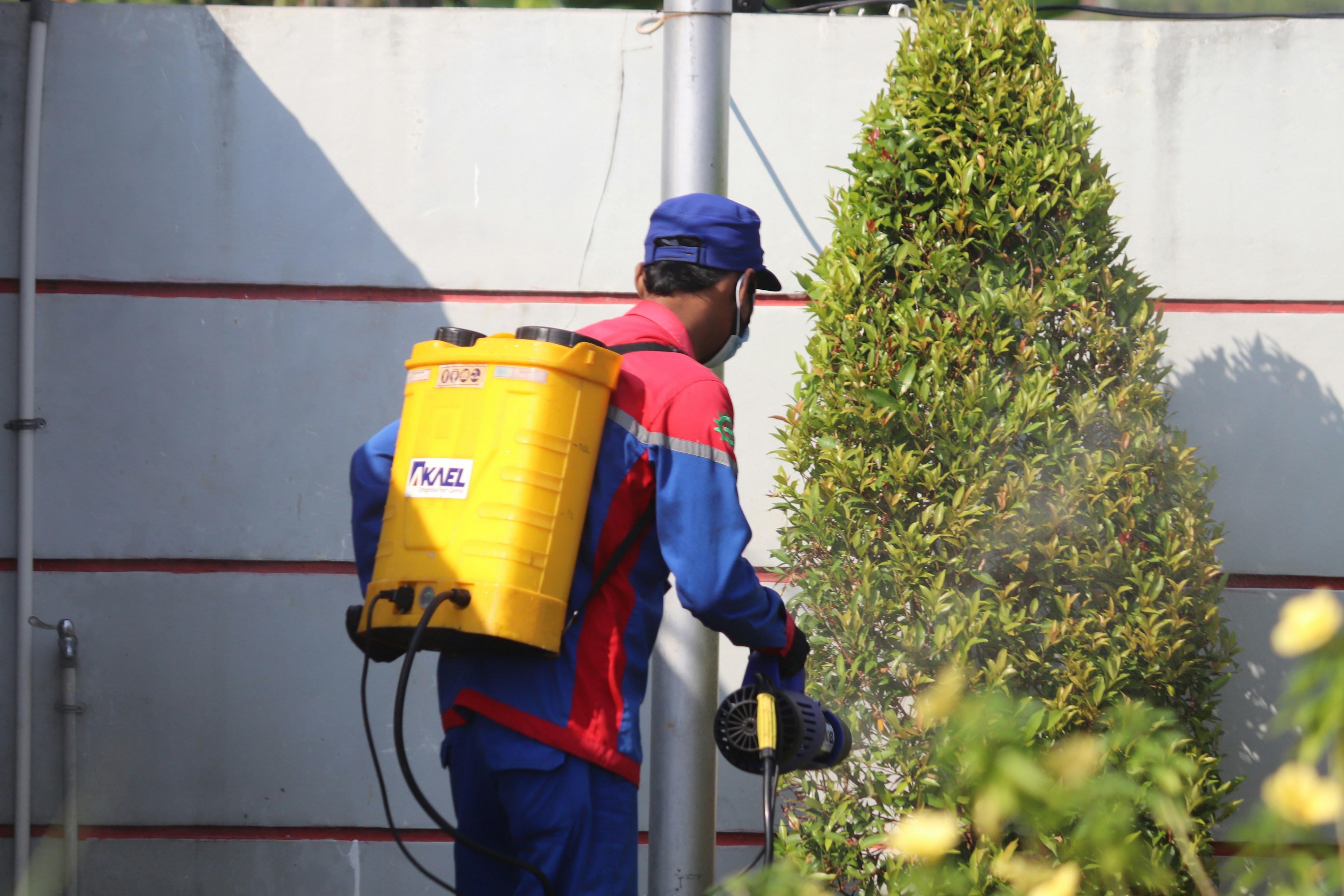 Eco-Fumigation technician treating garden pests