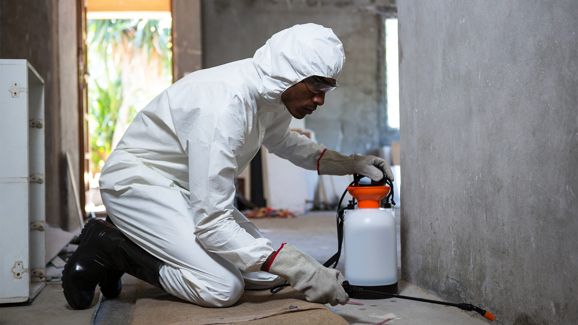 Fumigation & Pest Control Pretoria by Eco Fumigation